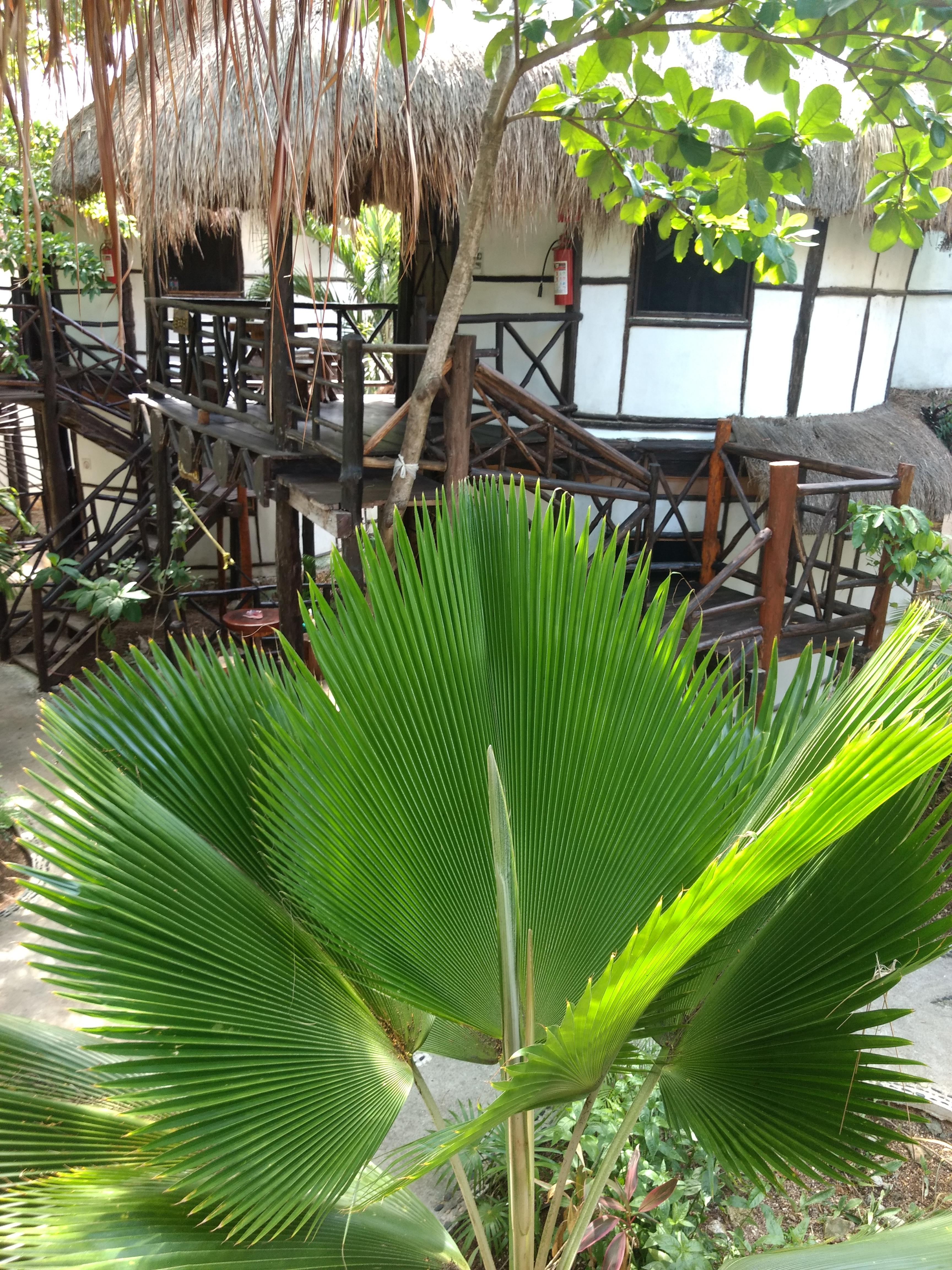 Green Tulum Cabanas & Gardens Exterior foto
